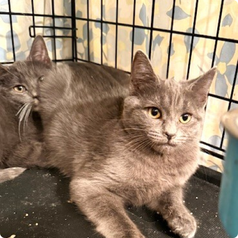 Rockefeller and friend